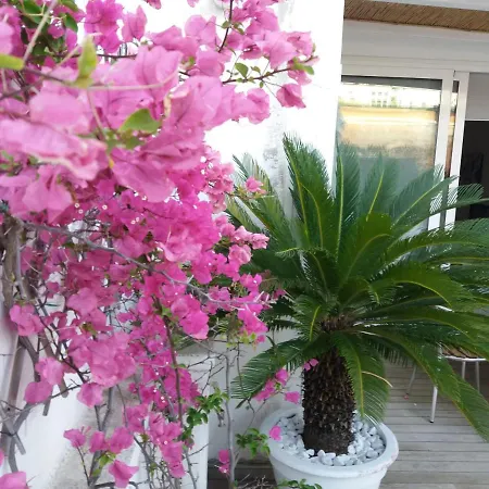 La Terrazza Di Marigio *